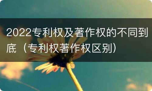 2022专利权及著作权的不同到底（专利权著作权区别）