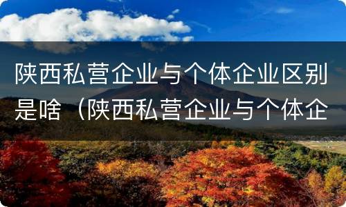 陕西私营企业与个体企业区别是啥（陕西私营企业与个体企业区别是啥呀）
