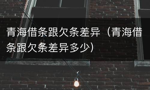 青海借条跟欠条差异（青海借条跟欠条差异多少）