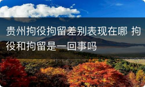 贵州拘役拘留差别表现在哪 拘役和拘留是一回事吗