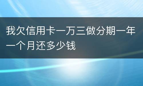 我欠信用卡一万三做分期一年一个月还多少钱