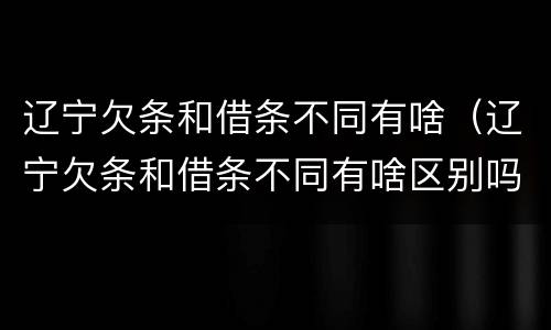 辽宁欠条和借条不同有啥（辽宁欠条和借条不同有啥区别吗）