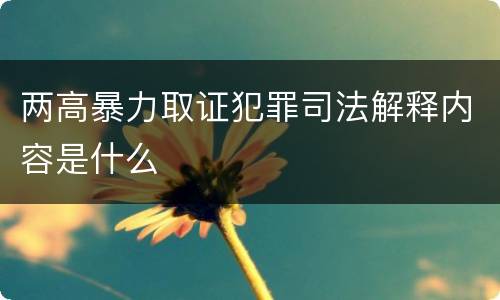 两高暴力取证犯罪司法解释内容是什么