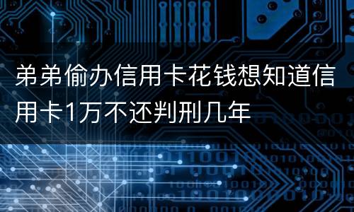 弟弟偷办信用卡花钱想知道信用卡1万不还判刑几年