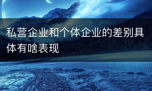 私营企业和个体企业的差别具体有啥表现