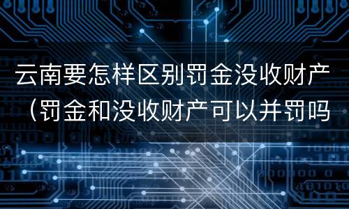 云南要怎样区别罚金没收财产（罚金和没收财产可以并罚吗）