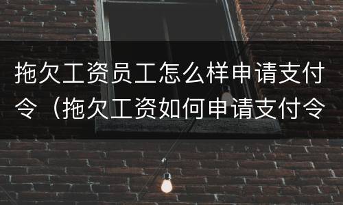 拖欠工资员工怎么样申请支付令（拖欠工资如何申请支付令）