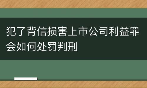 犯了背信损害上市公司利益罪会如何处罚判刑
