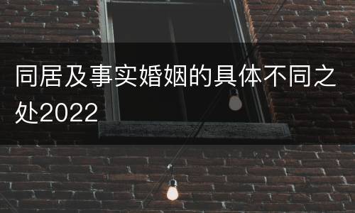 同居及事实婚姻的具体不同之处2022