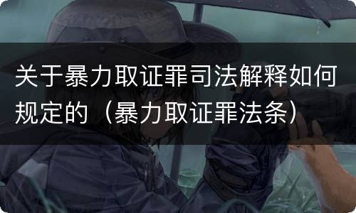 关于暴力取证罪司法解释如何规定的（暴力取证罪法条）