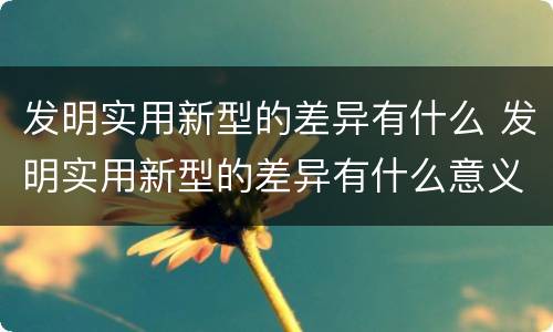 发明实用新型的差异有什么 发明实用新型的差异有什么意义