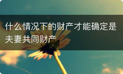 什么情况下的财产才能确定是夫妻共同财产