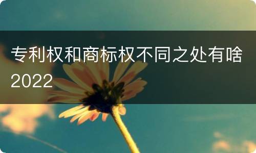 专利权和商标权不同之处有啥2022