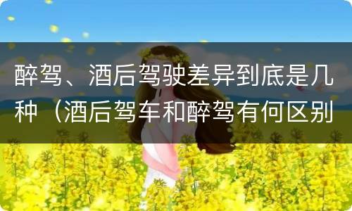 醉驾、酒后驾驶差异到底是几种（酒后驾车和醉驾有何区别）