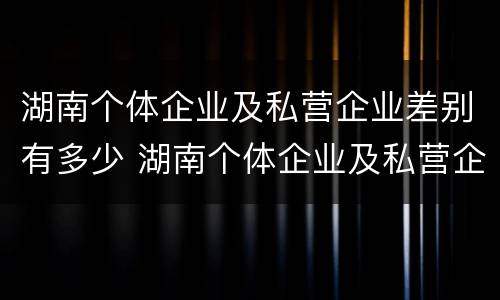 湖南个体企业及私营企业差别有多少 湖南个体企业及私营企业差别有多少个