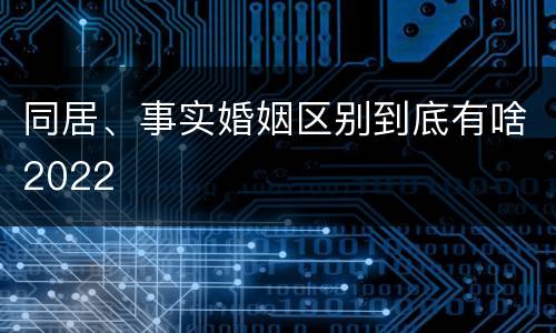 同居、事实婚姻区别到底有啥2022