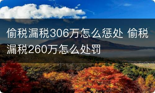 偷税漏税306万怎么惩处 偷税漏税260万怎么处罚