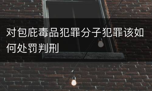 对包庇毒品犯罪分子犯罪该如何处罚判刑