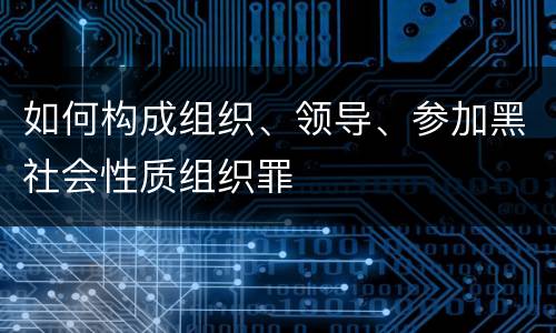 如何构成组织、领导、参加黑社会性质组织罪