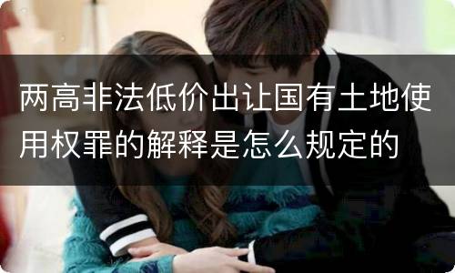 两高非法低价出让国有土地使用权罪的解释是怎么规定的