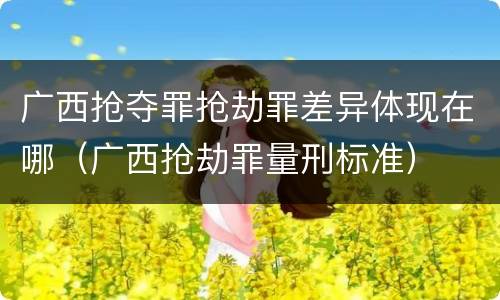 广西抢夺罪抢劫罪差异体现在哪（广西抢劫罪量刑标准）