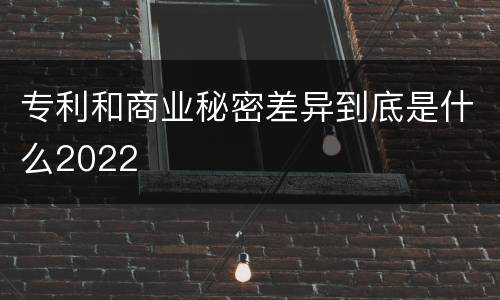 专利和商业秘密差异到底是什么2022