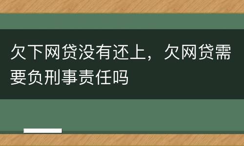 欠下网贷没有还上，欠网贷需要负刑事责任吗