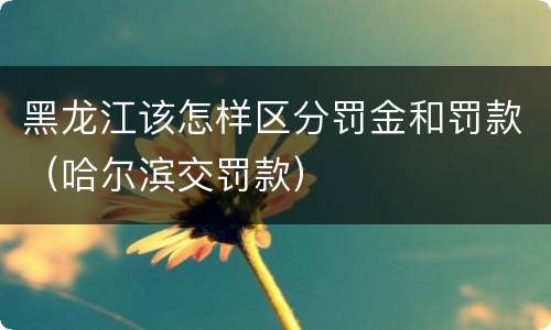 黑龙江该怎样区分罚金和罚款（哈尔滨交罚款）