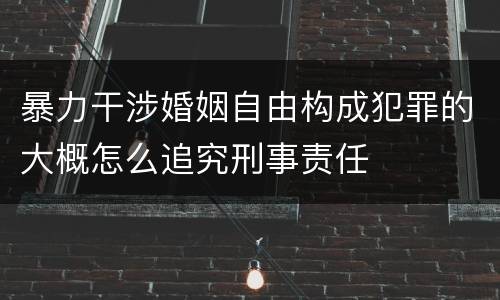 暴力干涉婚姻自由构成犯罪的大概怎么追究刑事责任