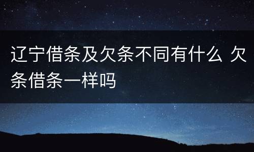 辽宁借条及欠条不同有什么 欠条借条一样吗