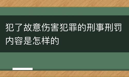犯了故意伤害犯罪的刑事刑罚内容是怎样的