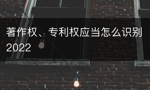 著作权、专利权应当怎么识别2022