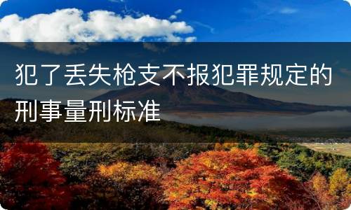 犯了丢失枪支不报犯罪规定的刑事量刑标准