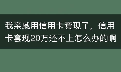 我亲戚用信用卡套现了，信用卡套现20万还不上怎么办的啊
