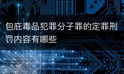 包庇毒品犯罪分子罪的定罪刑罚内容有哪些