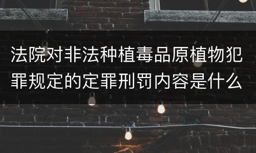 法院对非法种植毒品原植物犯罪规定的定罪刑罚内容是什么