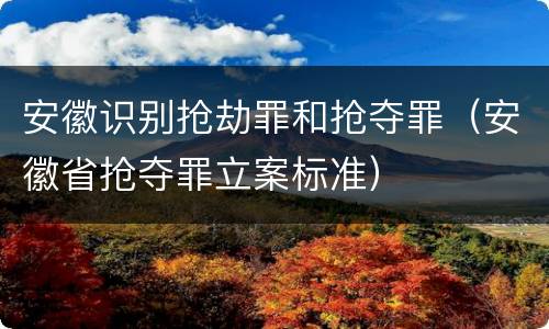 安徽识别抢劫罪和抢夺罪（安徽省抢夺罪立案标准）