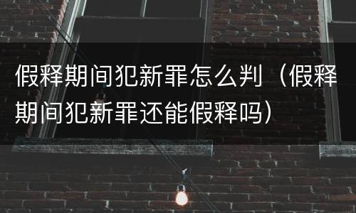 假释期间犯新罪怎么判（假释期间犯新罪还能假释吗）