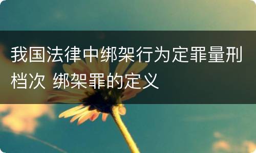我国法律中绑架行为定罪量刑档次 绑架罪的定义