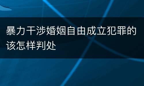 暴力干涉婚姻自由成立犯罪的该怎样判处