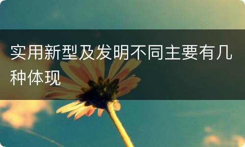 实用新型及发明不同主要有几种体现