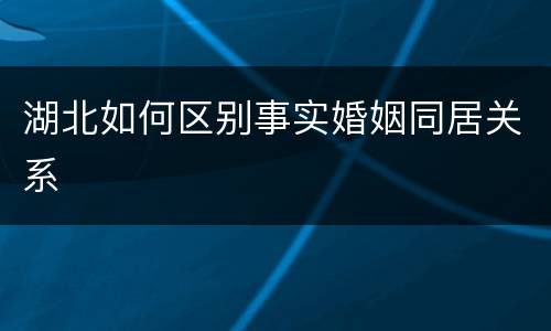 湖北如何区别事实婚姻同居关系