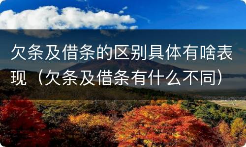 欠条及借条的区别具体有啥表现（欠条及借条有什么不同）