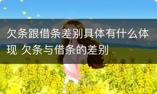 欠条跟借条差别具体有什么体现 欠条与借条的差别