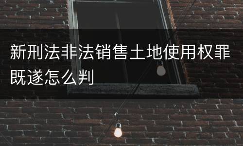 新刑法非法销售土地使用权罪既遂怎么判