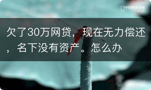 欠了30万网贷，现在无力偿还，名下没有资产。怎么办