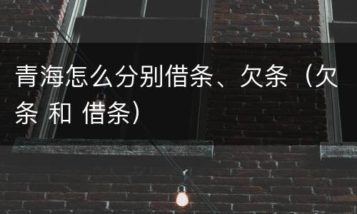 青海怎么分别借条、欠条（欠条 和 借条）
