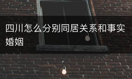 四川怎么分别同居关系和事实婚姻