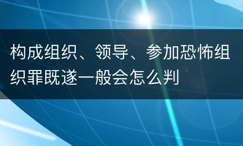 构成组织、领导、参加恐怖组织罪既遂一般会怎么判