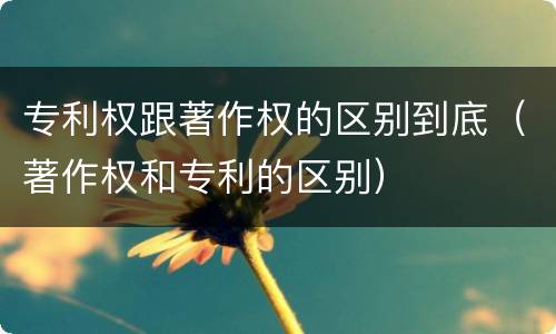 专利权跟著作权的区别到底（著作权和专利的区别）